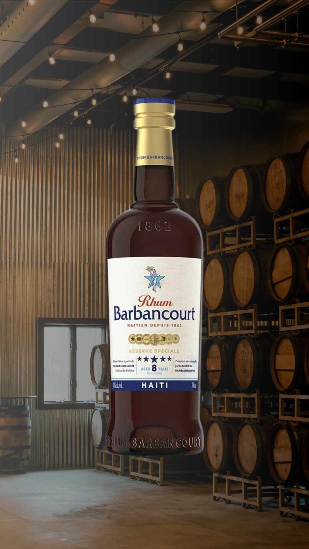 Organization About Banner